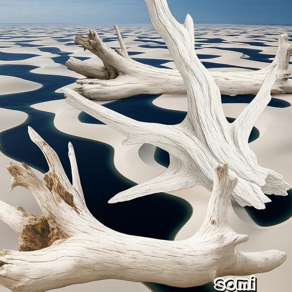 Image Cover